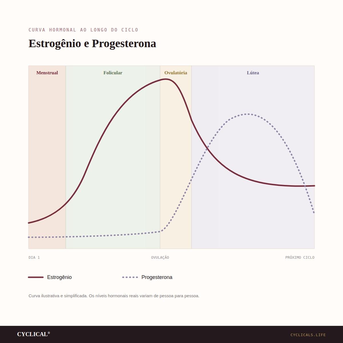 Gráfico ilustrativo das variações de estrogênio e progesterona durante o ciclo menstrual